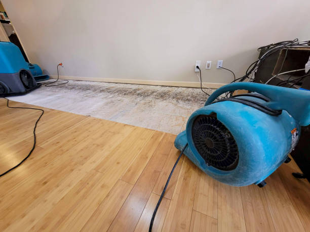 Professional Flood Damage Cleanup technician working in Cool Ridge, WV